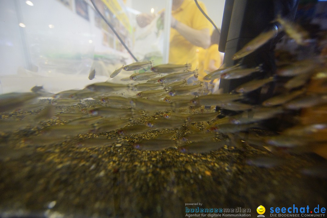 AQUA-FISCH - Internationale Aquaristik-Messe: Friedrichshafen, 07.03.2015