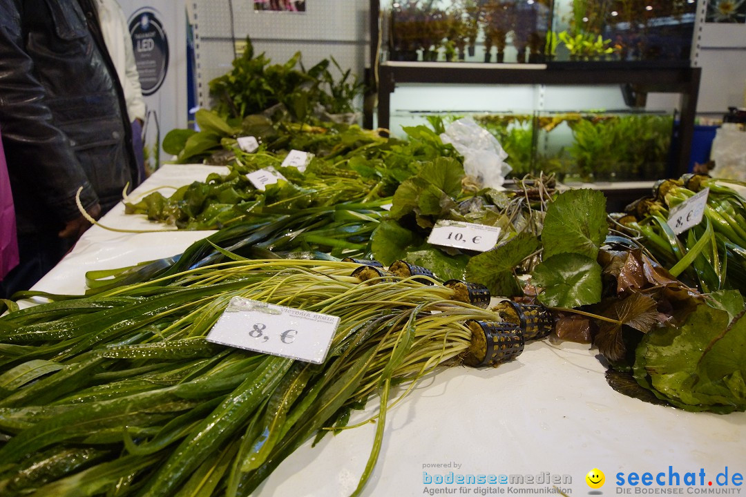 AQUA-FISCH - Internationale Aquaristik-Messe: Friedrichshafen, 07.03.2015