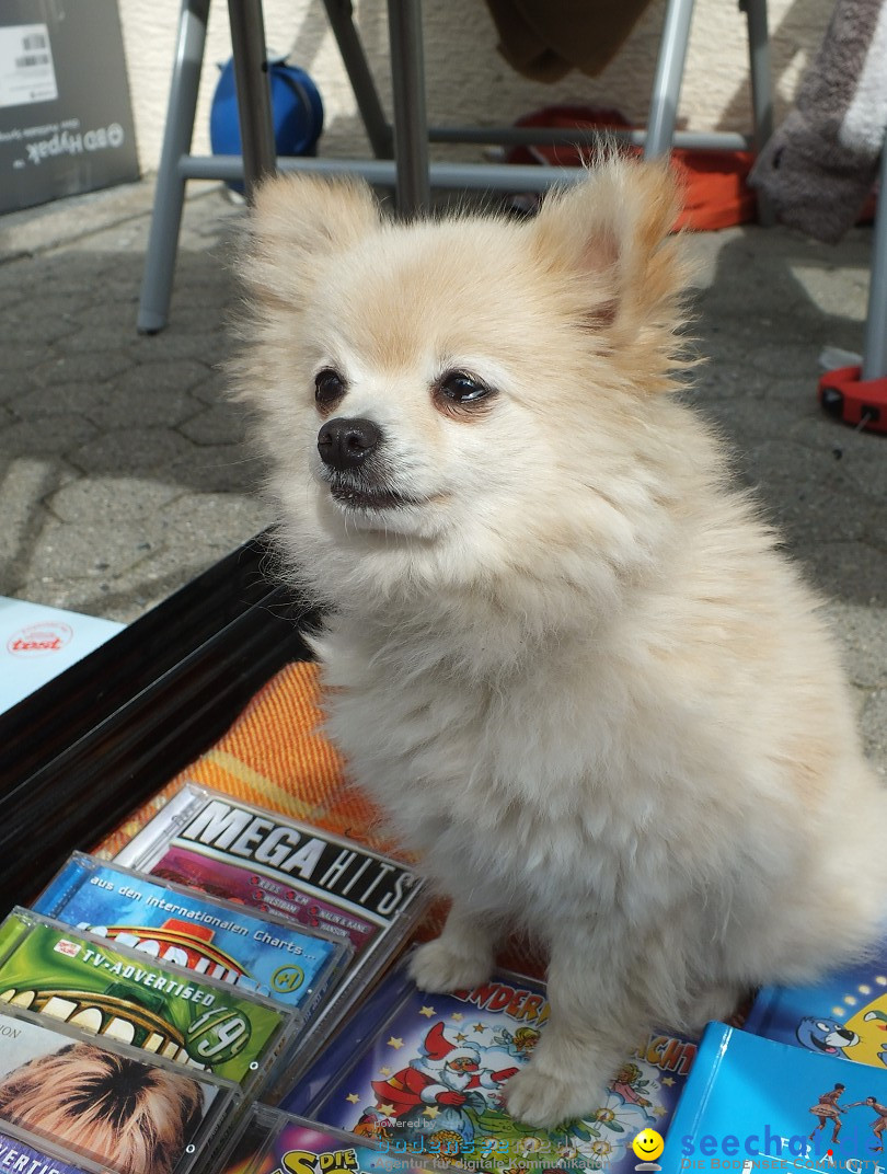 Flohmarkt in Bad-Saulgau am Bodensee, 08.05.2015