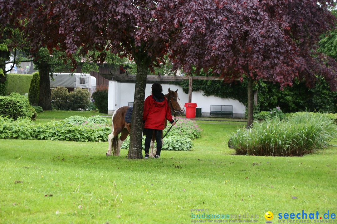 Blutritt: Heilig-Blut-Reliquie: Weingarten am Bodensee, 15.05.2015