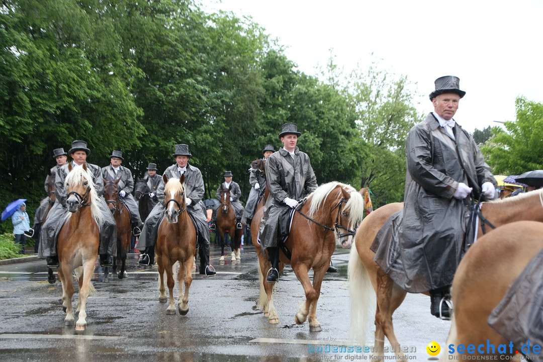 Blutritt: Heilig-Blut-Reliquie: Weingarten am Bodensee, 15.05.2015