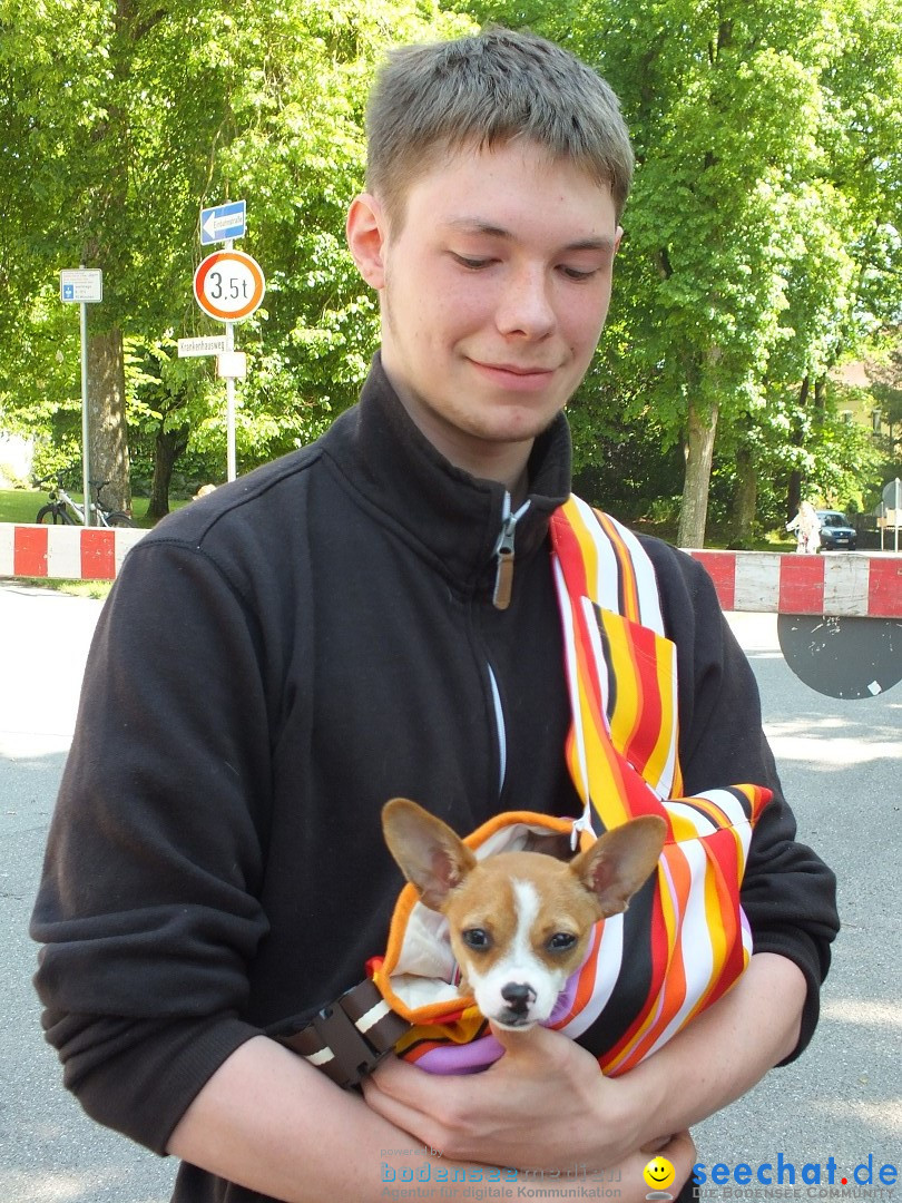 Flohmarkt: Riedlingen, 16.05.2015