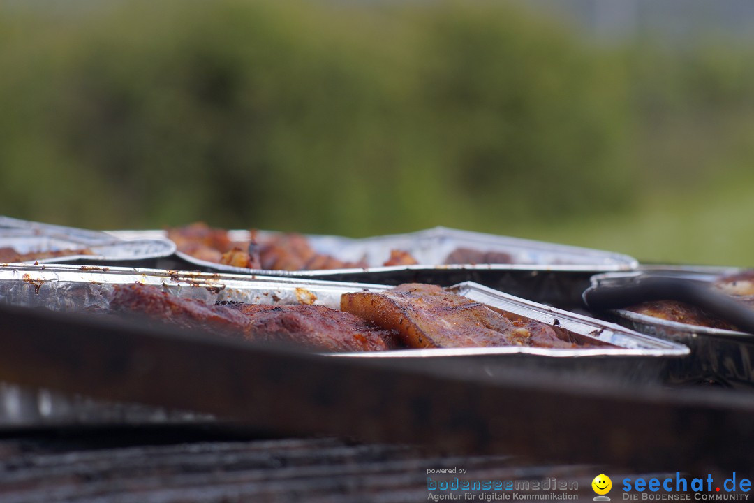 seechat.de Team-Grillfest: Wahlwies am Bodensee, 17.05.2015