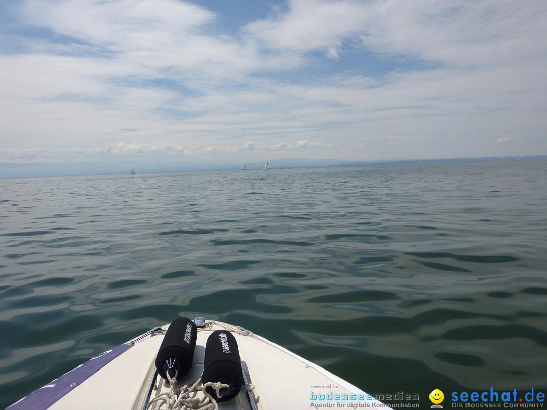 Svenja Holzinger durchquert den Bodensee: Friedrichshafen, 24.05.2015