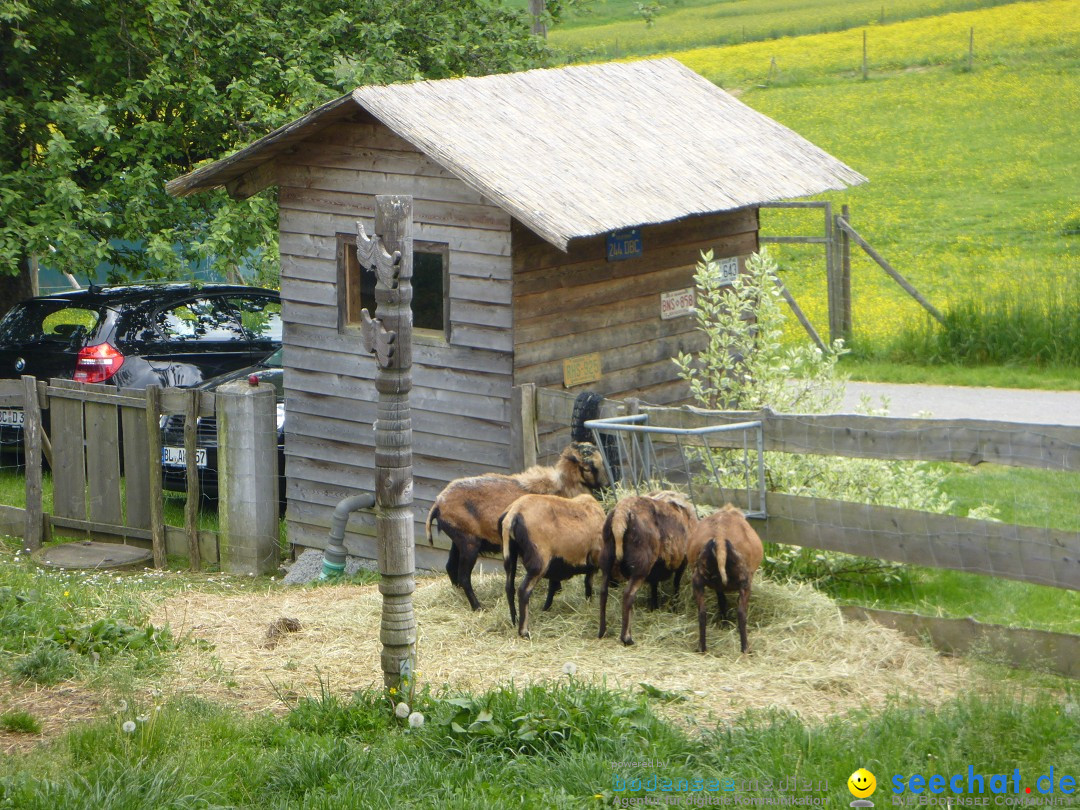 TipiHof - Hoffest mit Livemusik: Sauldorf, 25.05.2015