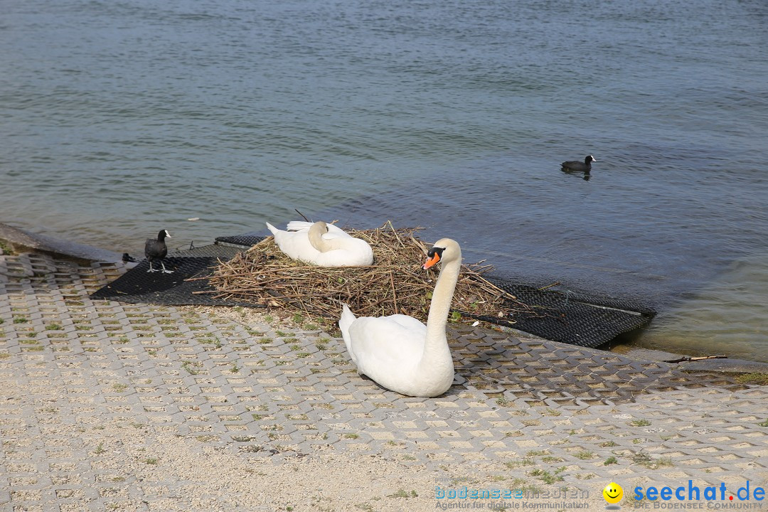 Internationale Bodenseewoche: Konstanz am Bodensee, 30.05.2015