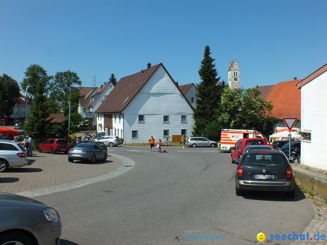 Flohmarkt: Hochdorf, 06.06.2015