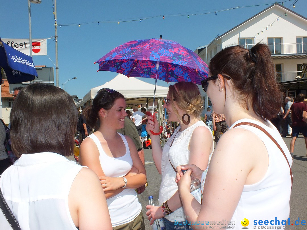 Flohmarkt: Hochdorf, 06.06.2015