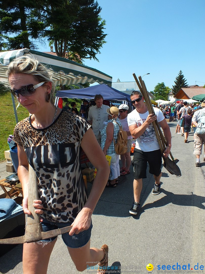 Flohmarkt: Hochdorf, 06.06.2015