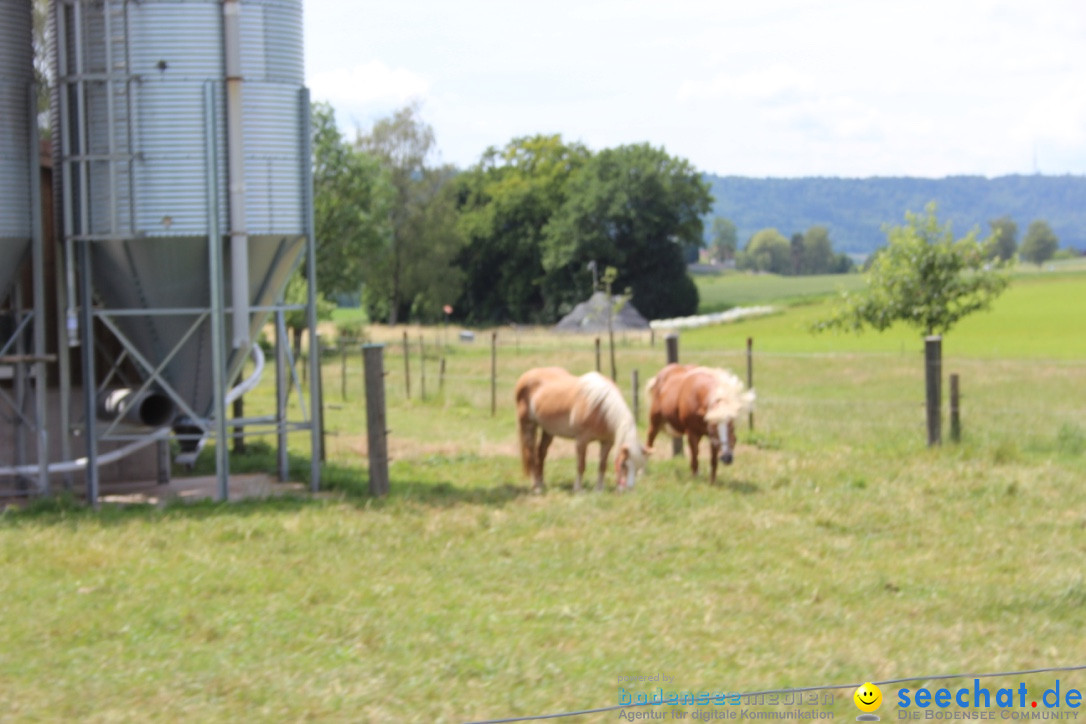 SlowUp Hegau-Schaffhausen, TEAM seechat.de Bodensee-Community, 14.06.15