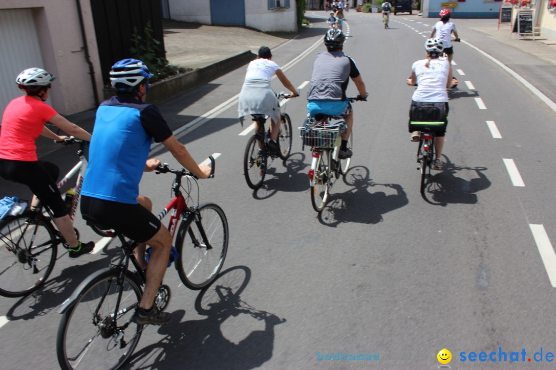 SlowUp Hegau-Schaffhausen, TEAM seechat.de Bodensee-Community, 14.06.15