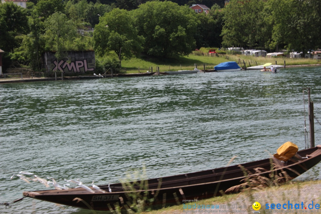 SlowUp Hegau-Schaffhausen, TEAM seechat.de Bodensee-Community, 14.06.15