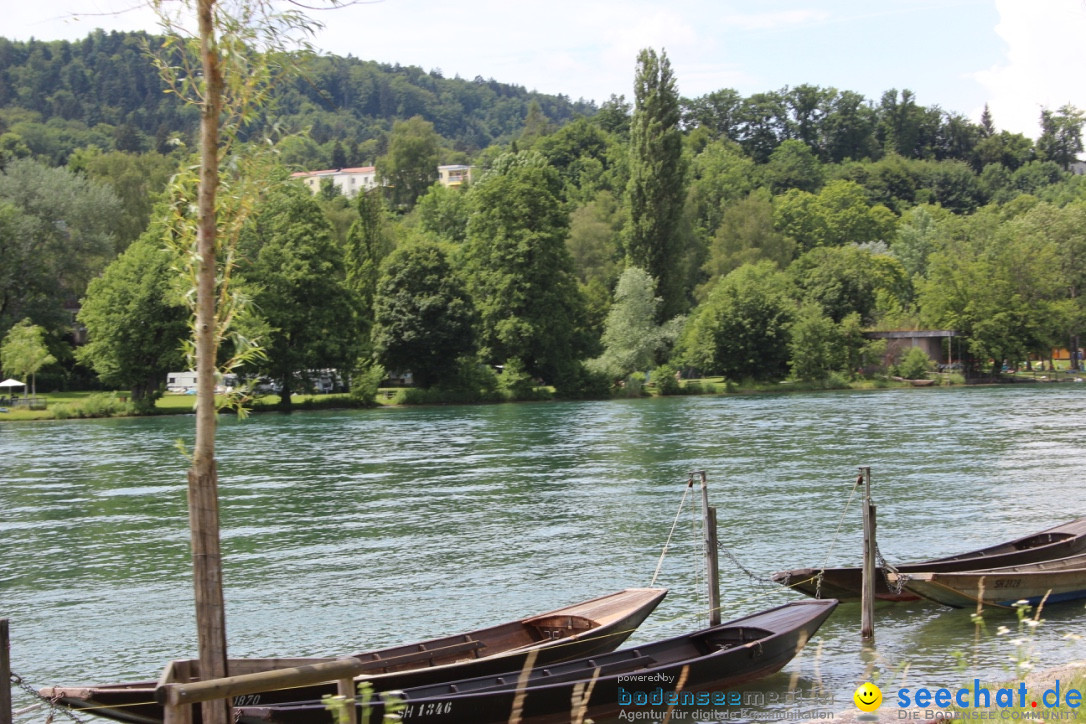 SlowUp Hegau-Schaffhausen, TEAM seechat.de Bodensee-Community, 14.06.15