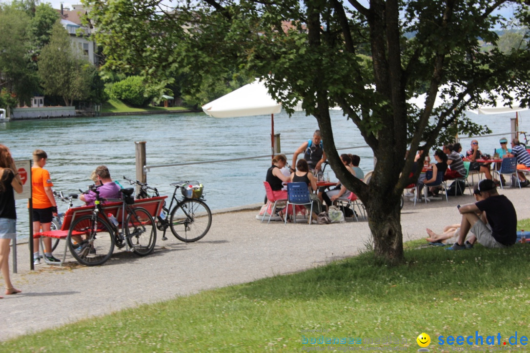 SlowUp Hegau-Schaffhausen, TEAM seechat.de Bodensee-Community, 14.06.15