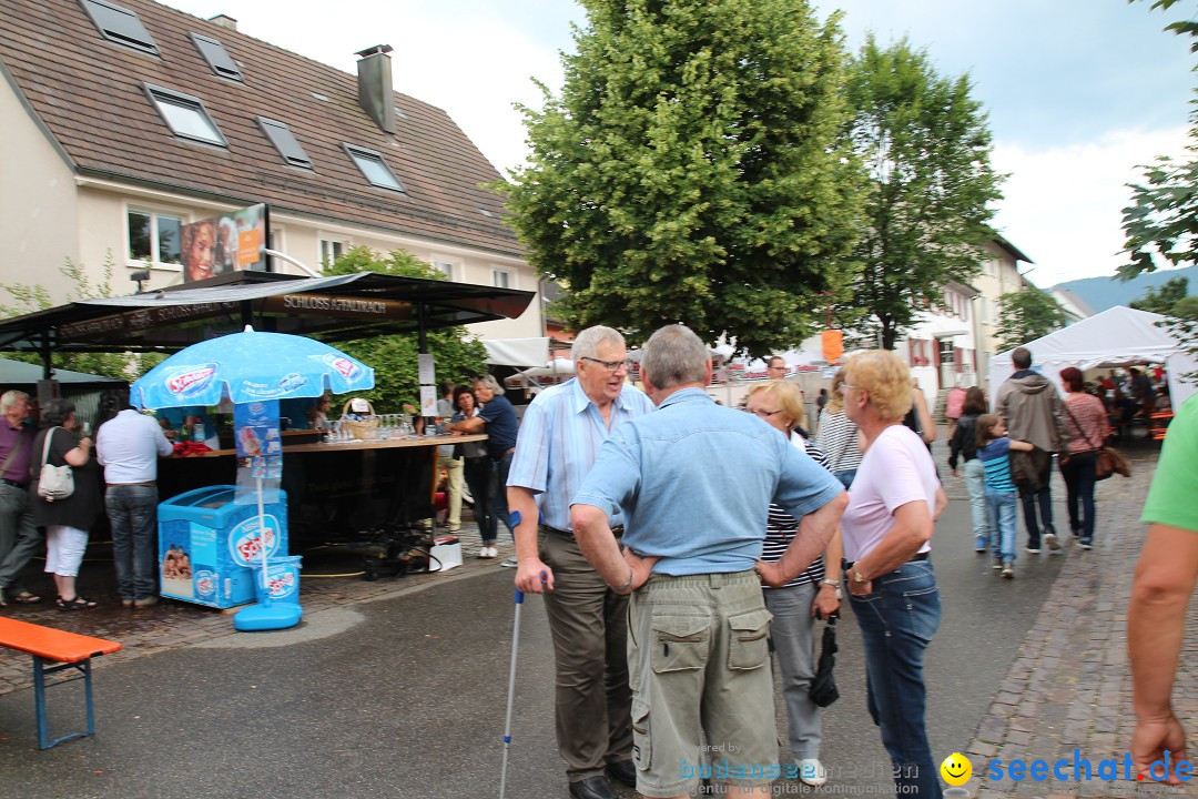 Hafenfest: Ludwigshafen am Bodensee, 27.06.2015