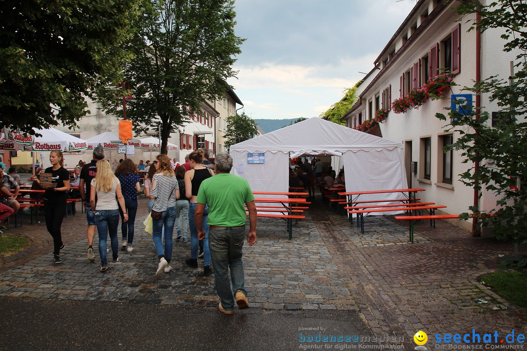 Hafenfest: Ludwigshafen am Bodensee, 27.06.2015