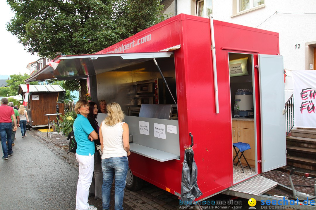 Hafenfest: Ludwigshafen am Bodensee, 27.06.2015