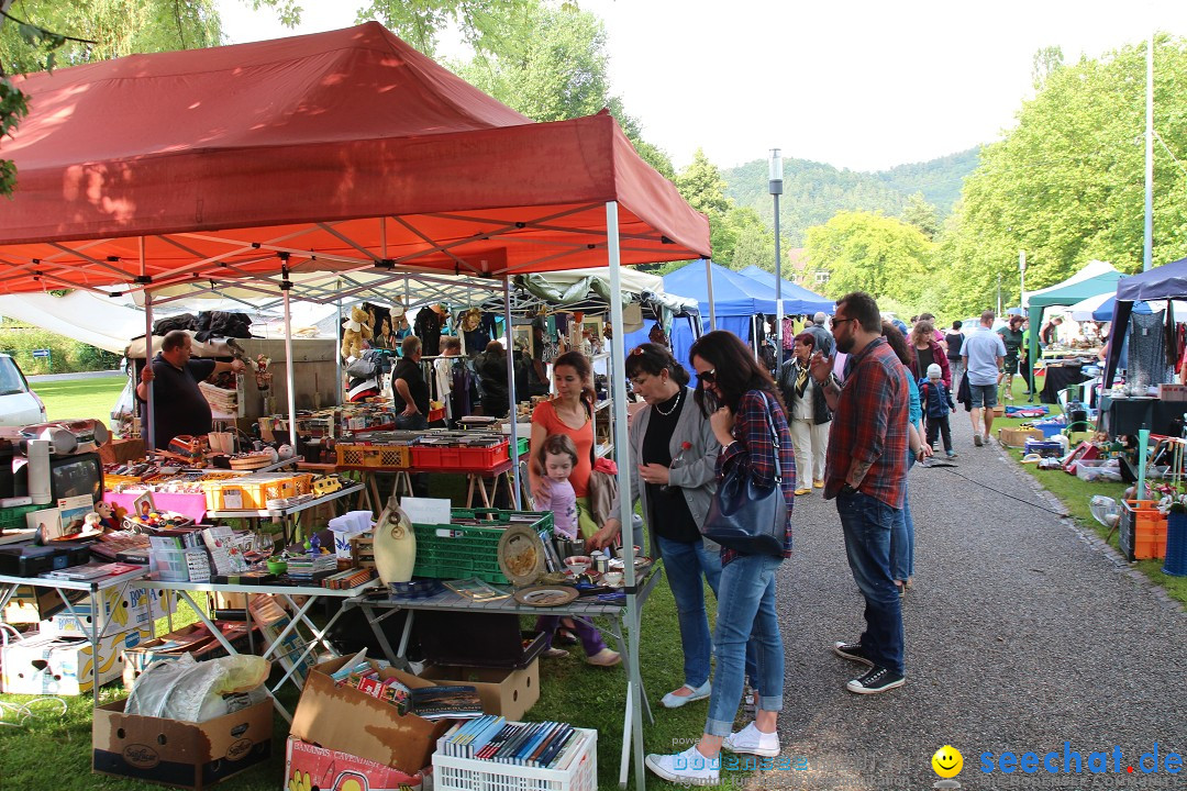 Hafenfest: Ludwigshafen am Bodensee, 27.06.2015