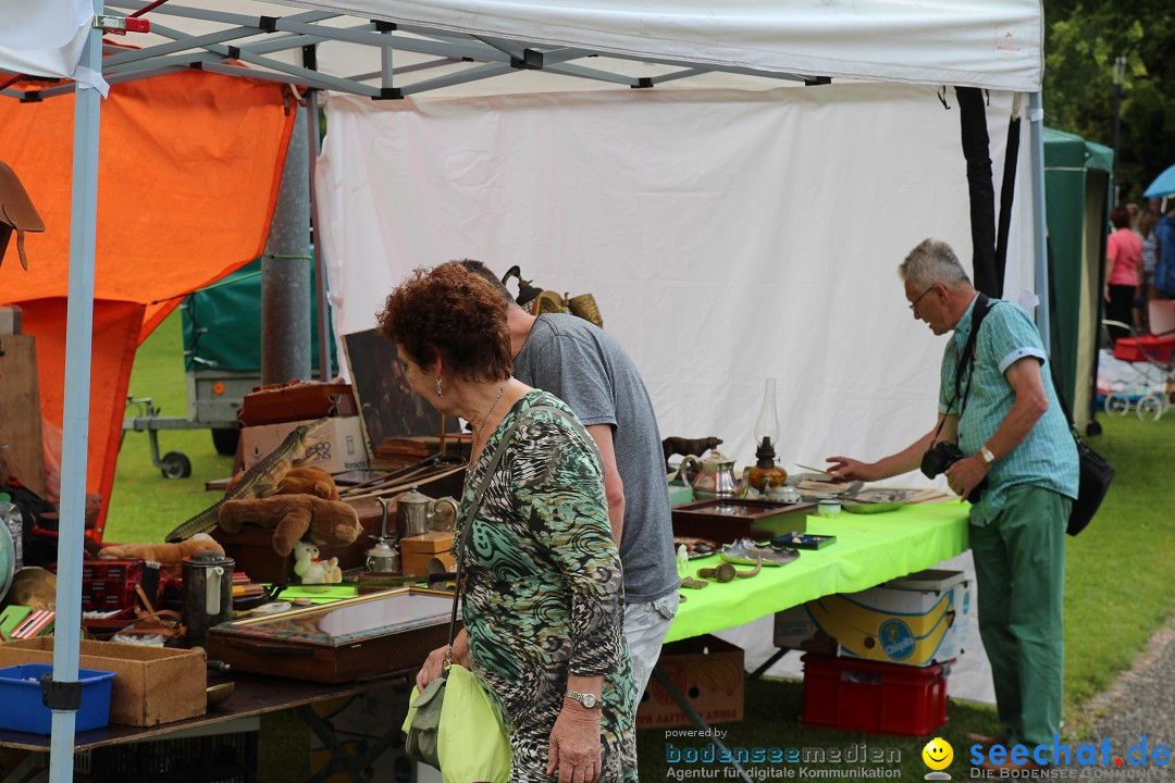 Hafenfest: Ludwigshafen am Bodensee, 27.06.2015