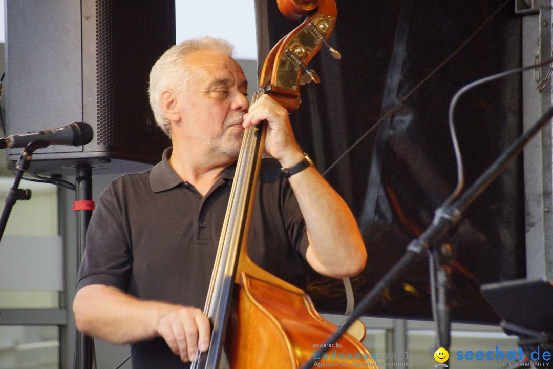 Stadtfest: Singen am Hohentwiel im Hegau - Bodensee, 27.06.2015