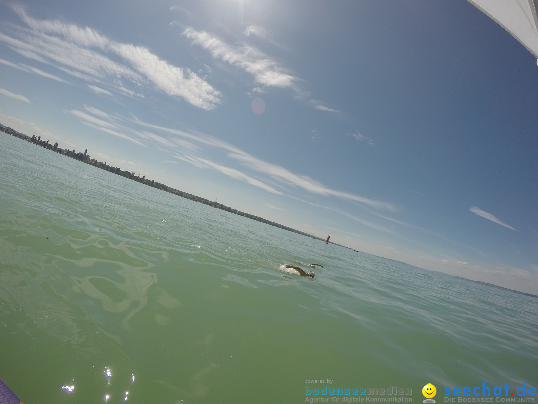 Bodensee Breitenquerung von Stefan Jung: Friedrichshafen, 28.06.2015