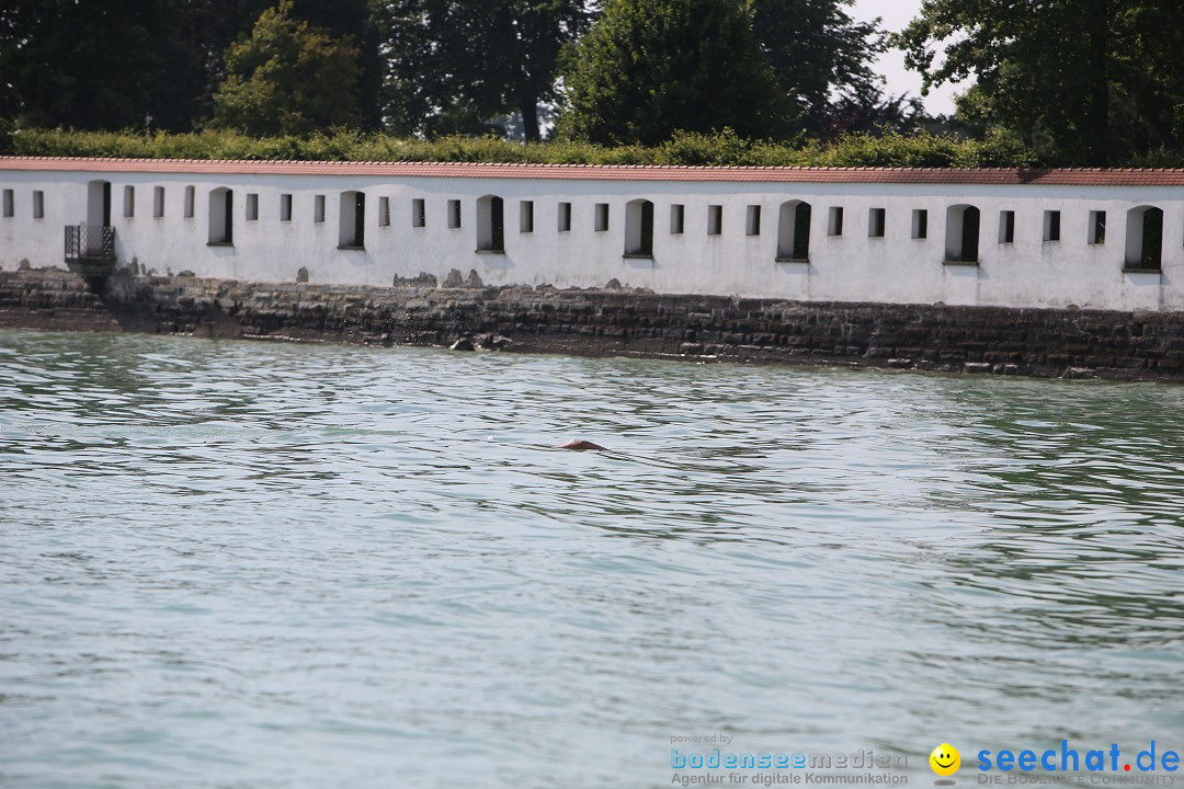 Bodensee Breitenquerung von Mim und Axel: Friedrichshafen, 04.07.2015