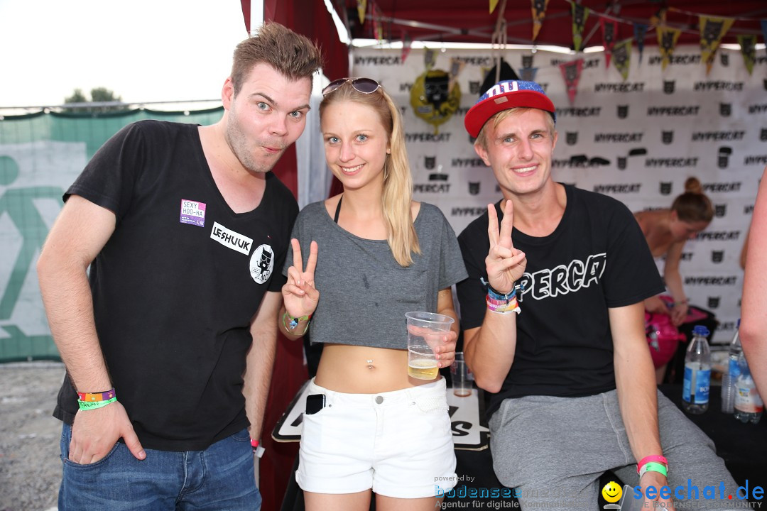 SommerTagTraum 2015 mit David Guetta: Ravensburg, 04.07.2015