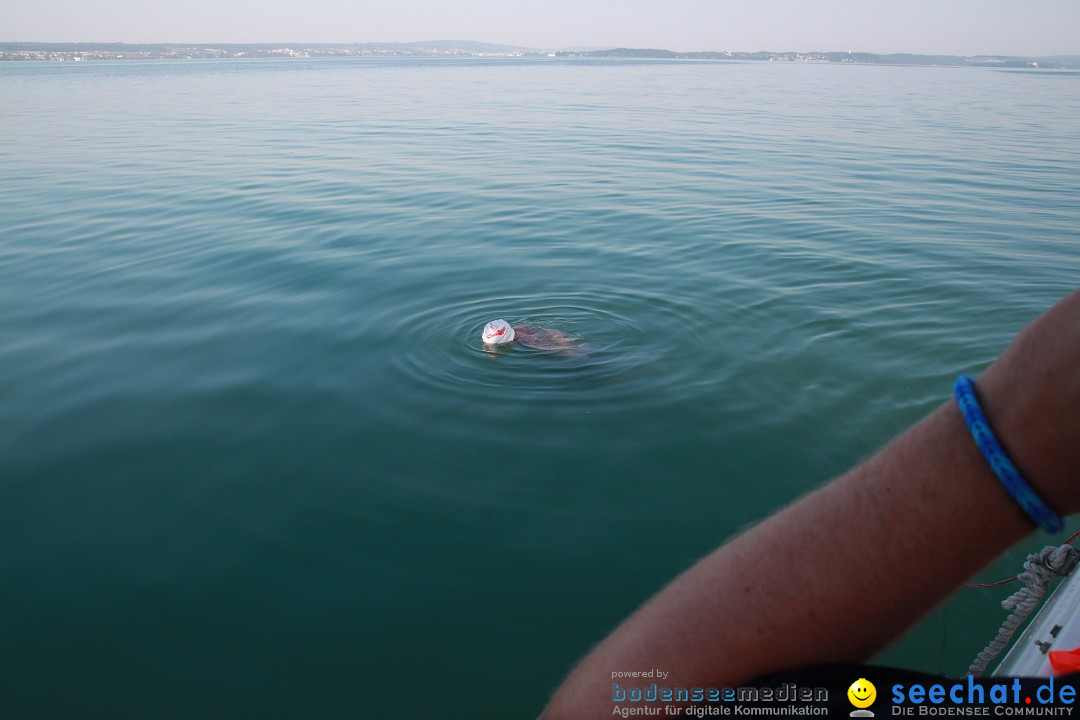 Bodenseequerung-Martin-Fessl-120715-Bodensee-Community-SEECHAT_DE-IMG_9804.JPG