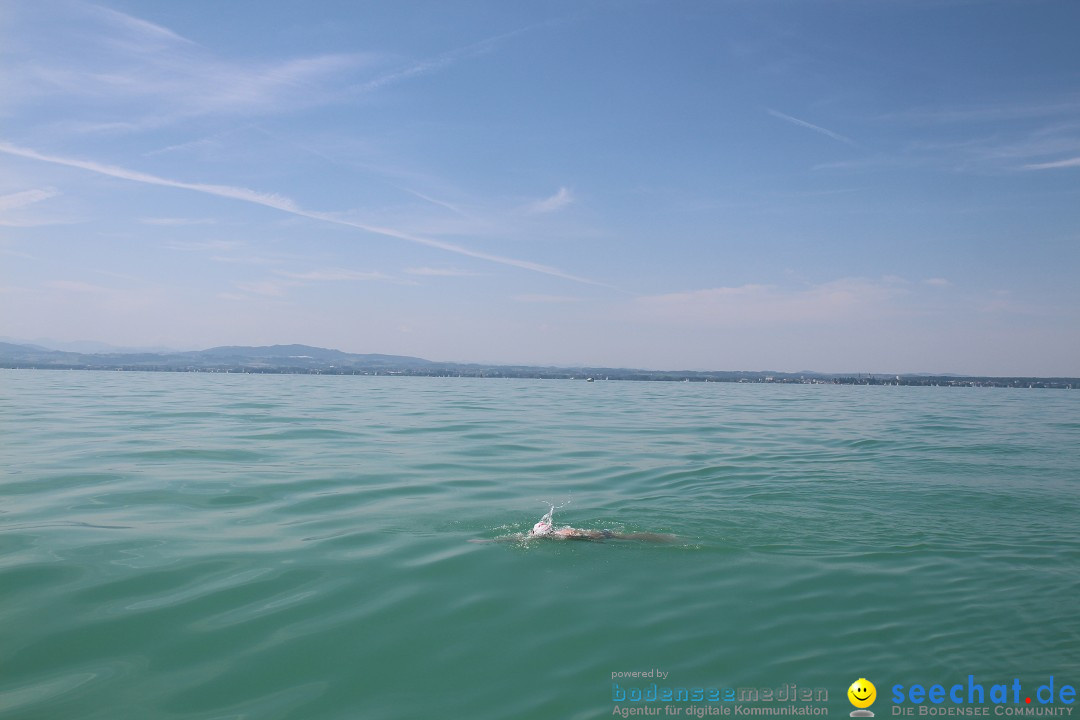 Bodenseequerung-Martin-Fessl-120715-Bodensee-Community-SEECHAT_DE-IMG_9896.JPG