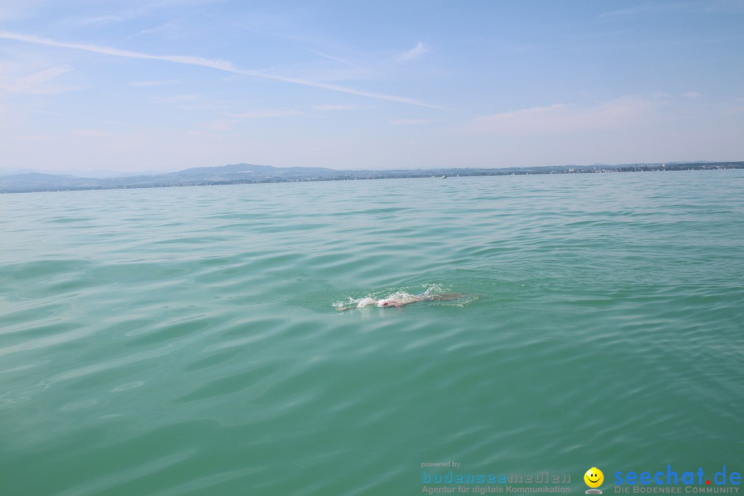 Bodenseequerung-Martin-Fessl-120715-Bodensee-Community-SEECHAT_DE-IMG_9897.JPG