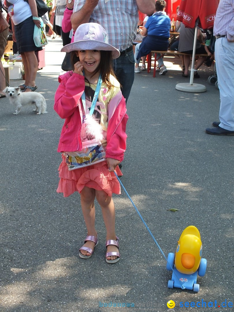 Flohmarkt und Fest: Oggelshausen in Oberschwaben, 24.07.2015