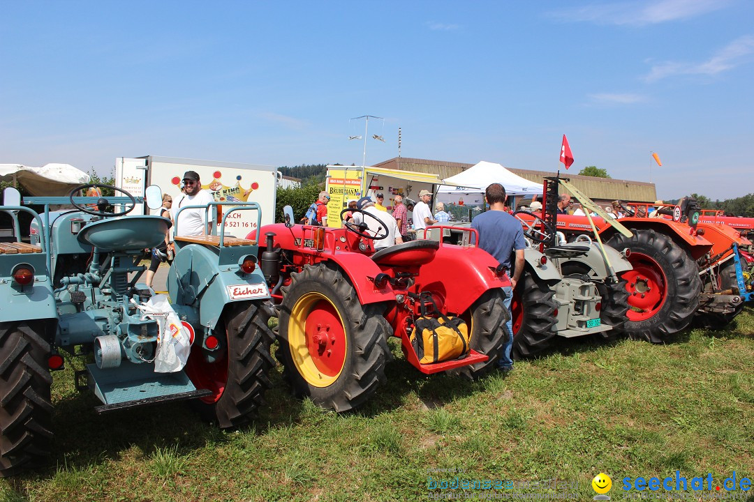 Flugtage: Sitterdorf in der Schweiz, 09.08.2015