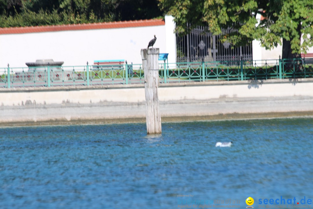 Bodenseequerung-Juergen-Rechenberger-220815-Bodensee-Community-SEECHAT_DE-IMG_1807.JPG