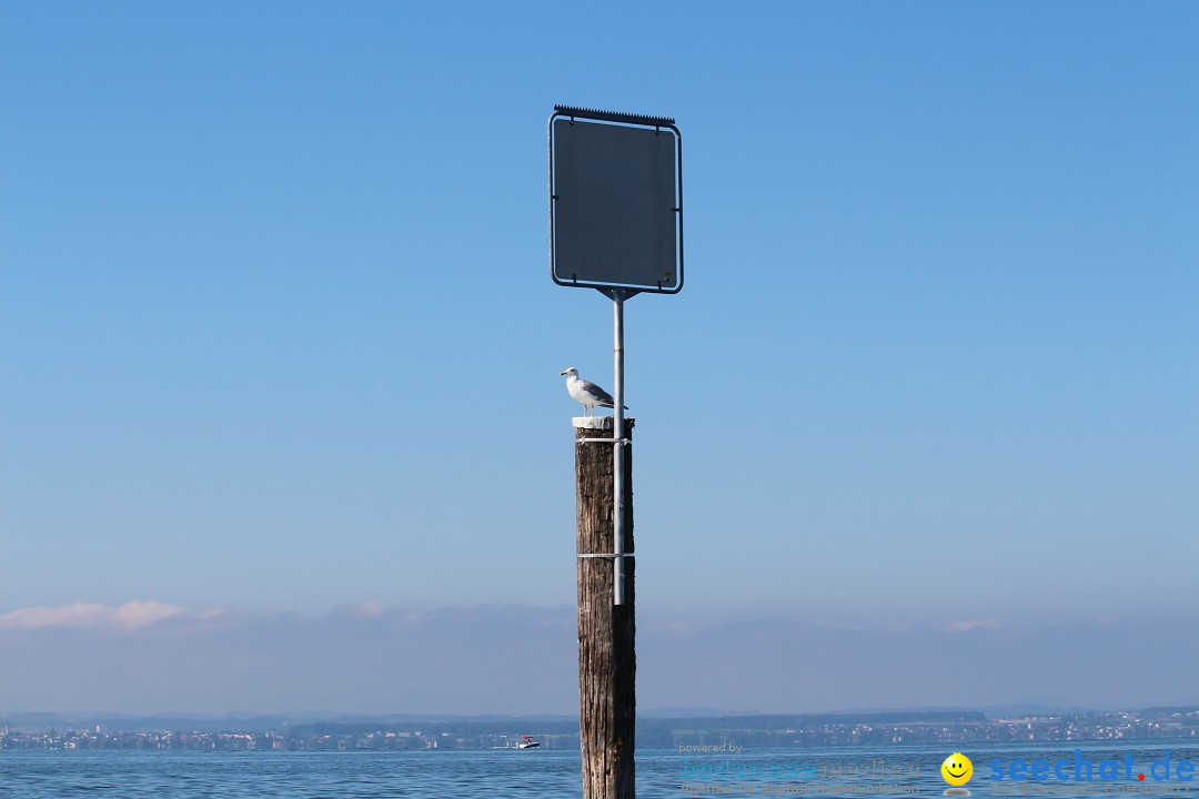 Bodenseequerung-Juergen-Rechenberger-220815-Bodensee-Community-SEECHAT_DE-IMG_1818.JPG