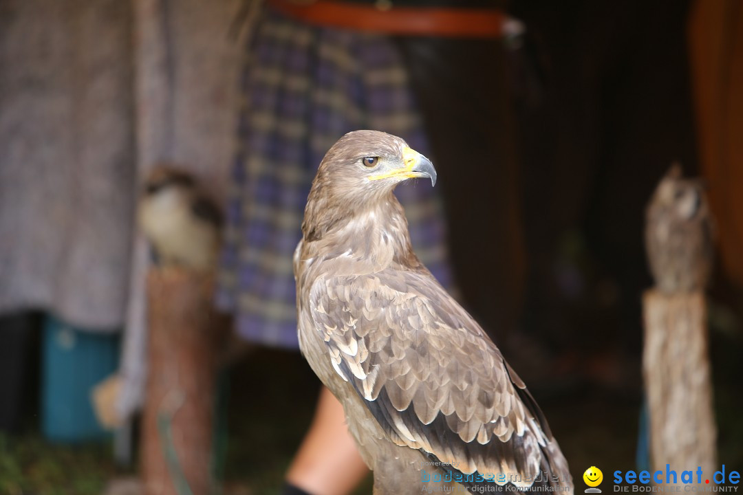 Mittelalterlich Phantasie Spectaculum - MPS: Aach - Bodensee, 23.08.2015