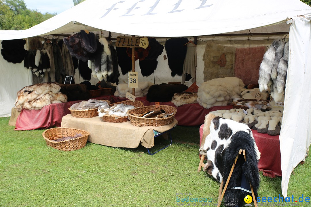 Mittelalterlich Phantasie Spectaculum - MPS: Aach - Bodensee, 23.08.2015