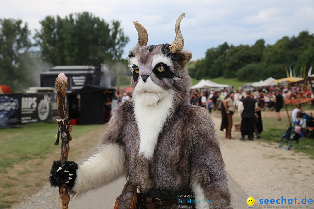 Mittelalterlich Phantasie Spectaculum - MPS: Aach - Bodensee, 23.08.2015