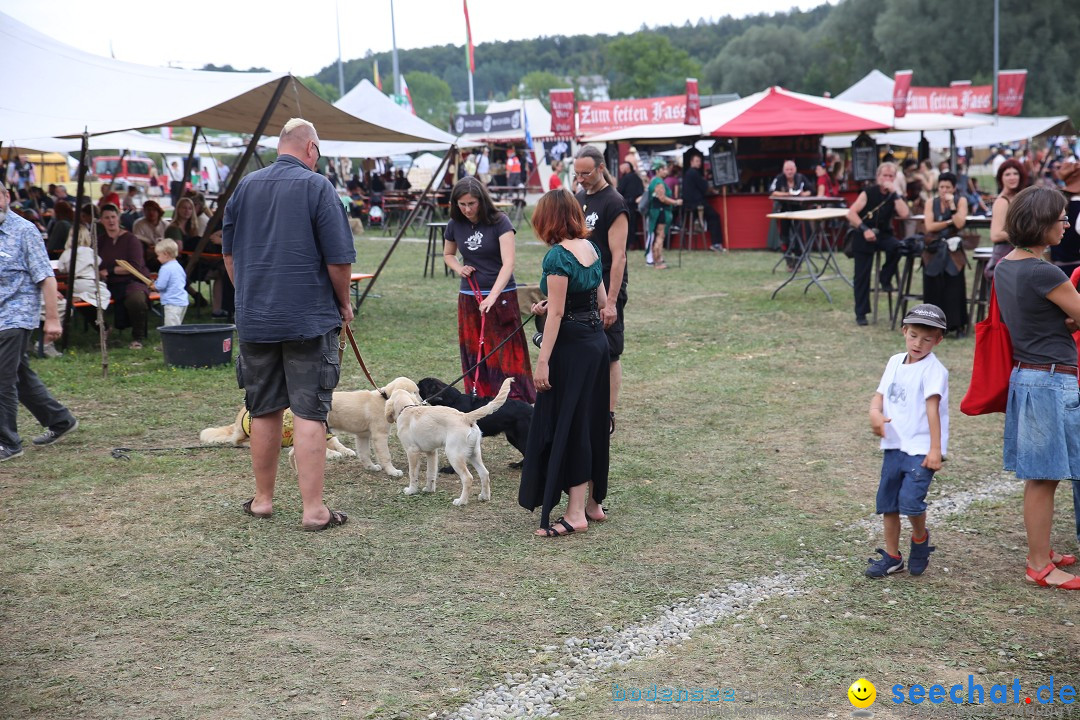 Mittelalterlich Phantasie Spectaculum - MPS: Aach - Bodensee, 23.08.2015