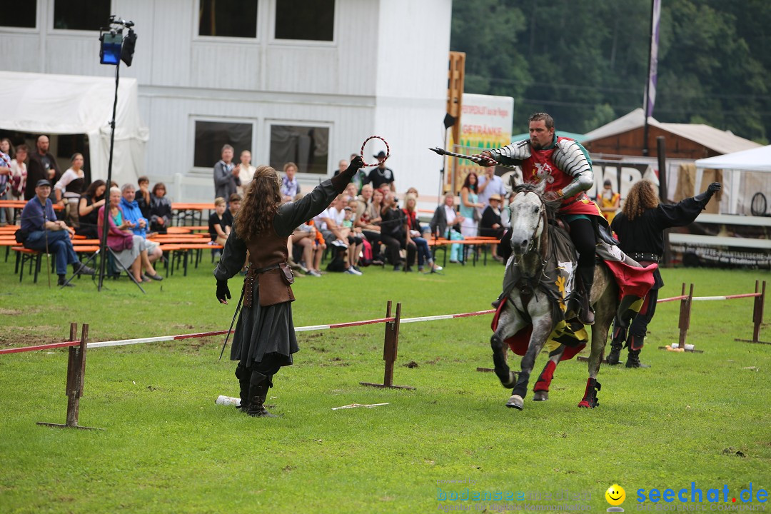 Mittelalterlich Phantasie Spectaculum - MPS: Aach - Bodensee, 23.08.2015