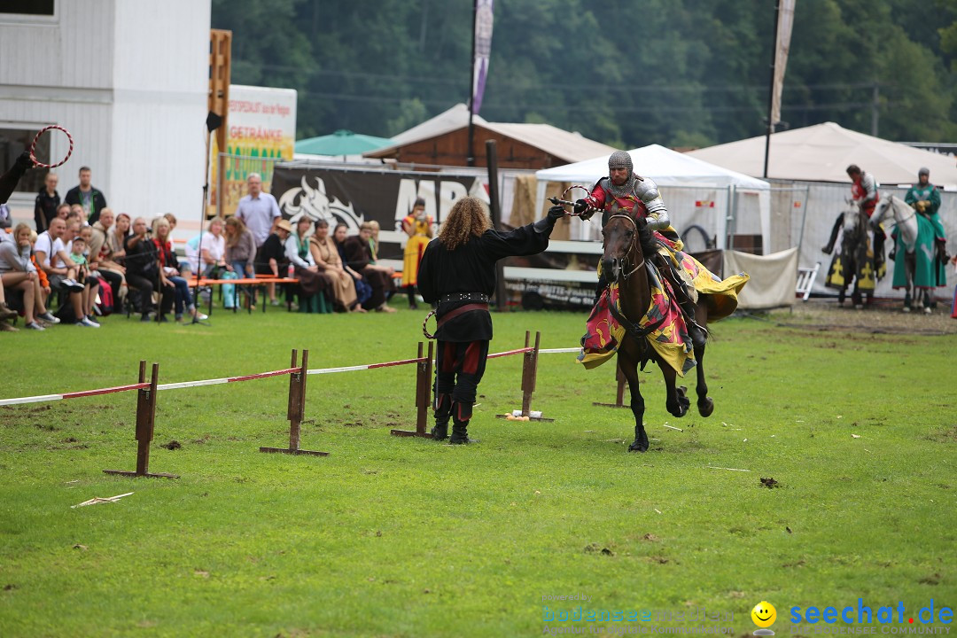 Mittelalterlich Phantasie Spectaculum - MPS: Aach - Bodensee, 23.08.2015