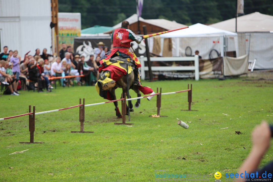 Mittelalterlich Phantasie Spectaculum - MPS: Aach - Bodensee, 23.08.2015