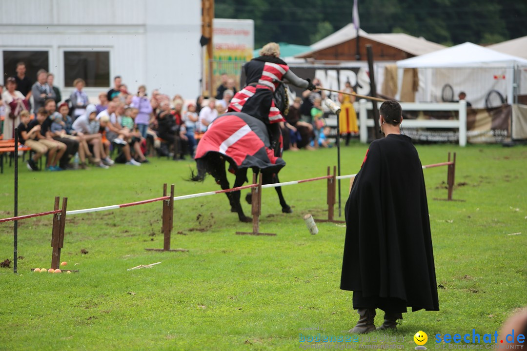 Mittelalterlich Phantasie Spectaculum - MPS: Aach - Bodensee, 23.08.2015