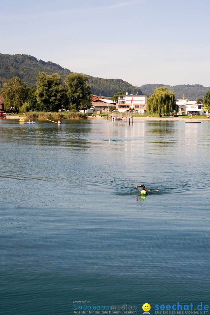 Bodensee-Laengsquerung-270815-Bodenseecommunity-seechat_de--00156.jpg