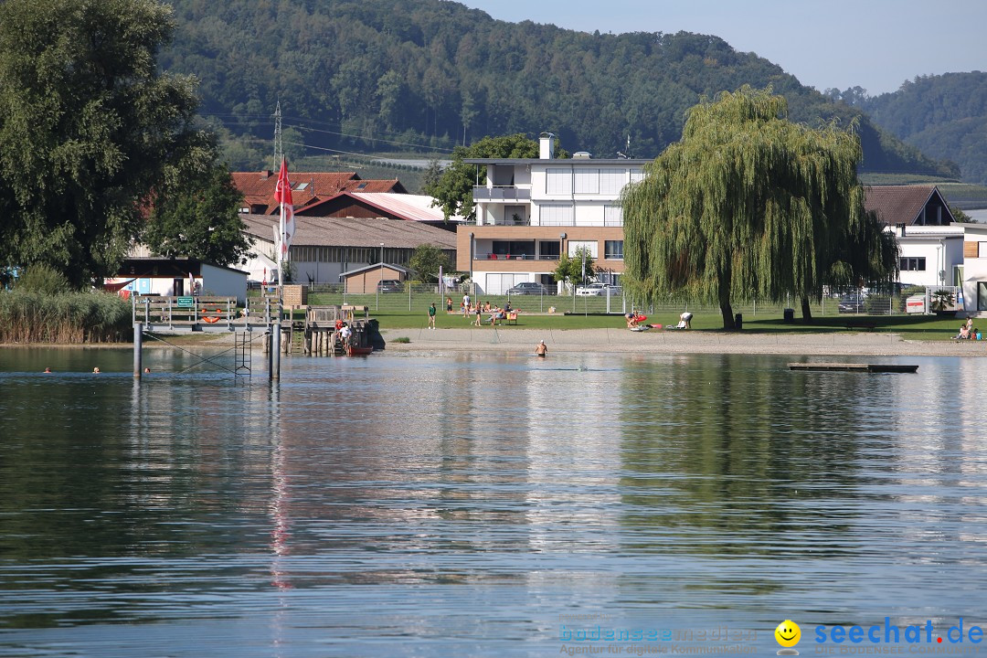 Bodensee-Laengsquerung-Bodman-270815-Bodensee-Community-SEECHAT_DE-IMG_3027.JPG