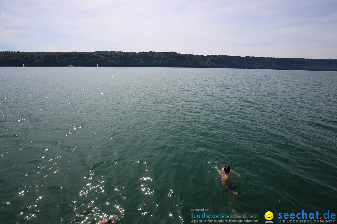 Bodensee-Laengsquerung-Bodman-270815-Bodensee-Community-SEECHAT_DE-IMG_3144.JPG