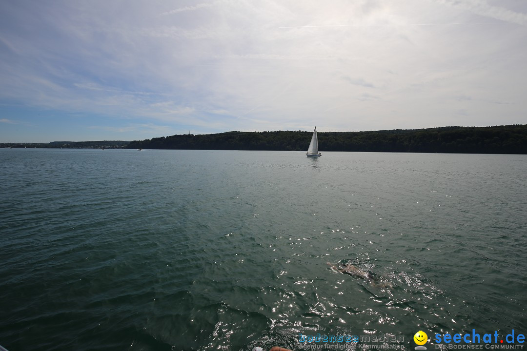 Bodensee-Laengsquerung-Bodman-270815-Bodensee-Community-SEECHAT_DE-IMG_3158.JPG