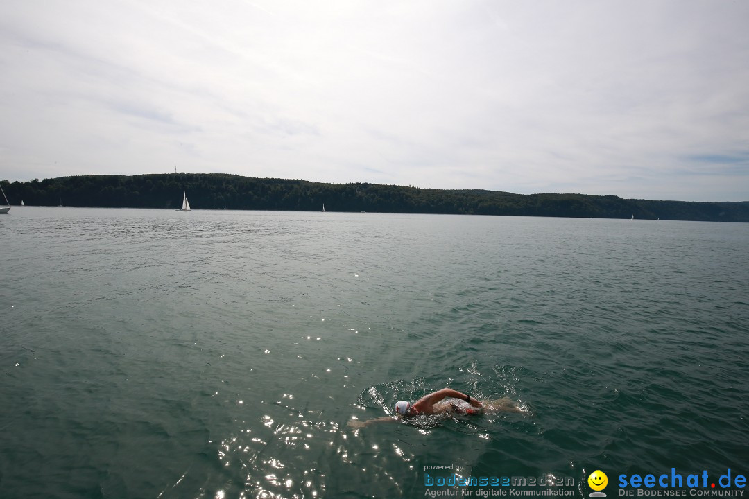 Bodensee-Laengsquerung-Bodman-270815-Bodensee-Community-SEECHAT_DE-IMG_3191.JPG