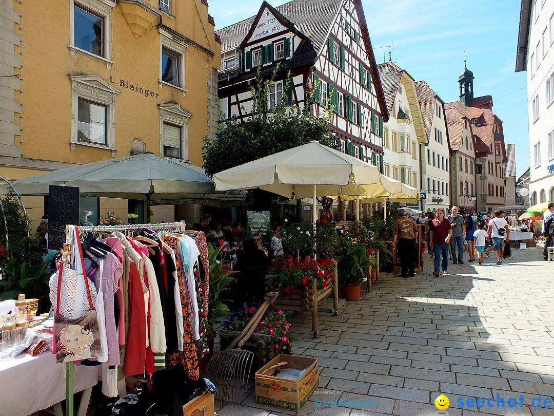 Flohmarkt und Fest: Sigmaringen, 29.08.2015