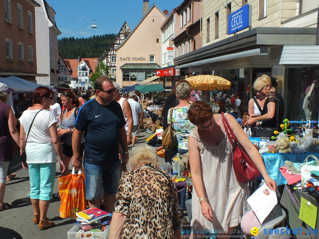 Flohmarkt und Fest: Sigmaringen, 29.08.2015