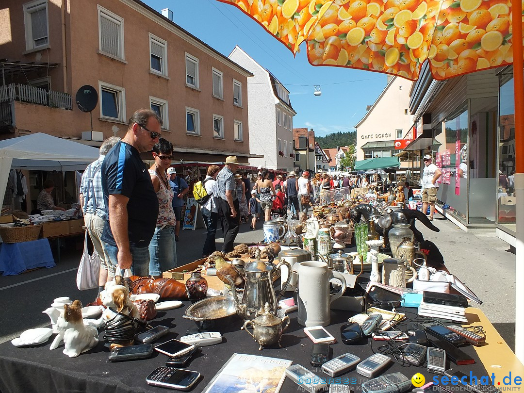 Flohmarkt und Fest: Sigmaringen, 29.08.2015